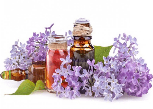 La perfusion de lilas
